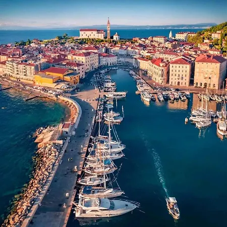 Freedom House Appartement