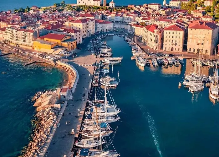 Freedom House דירה